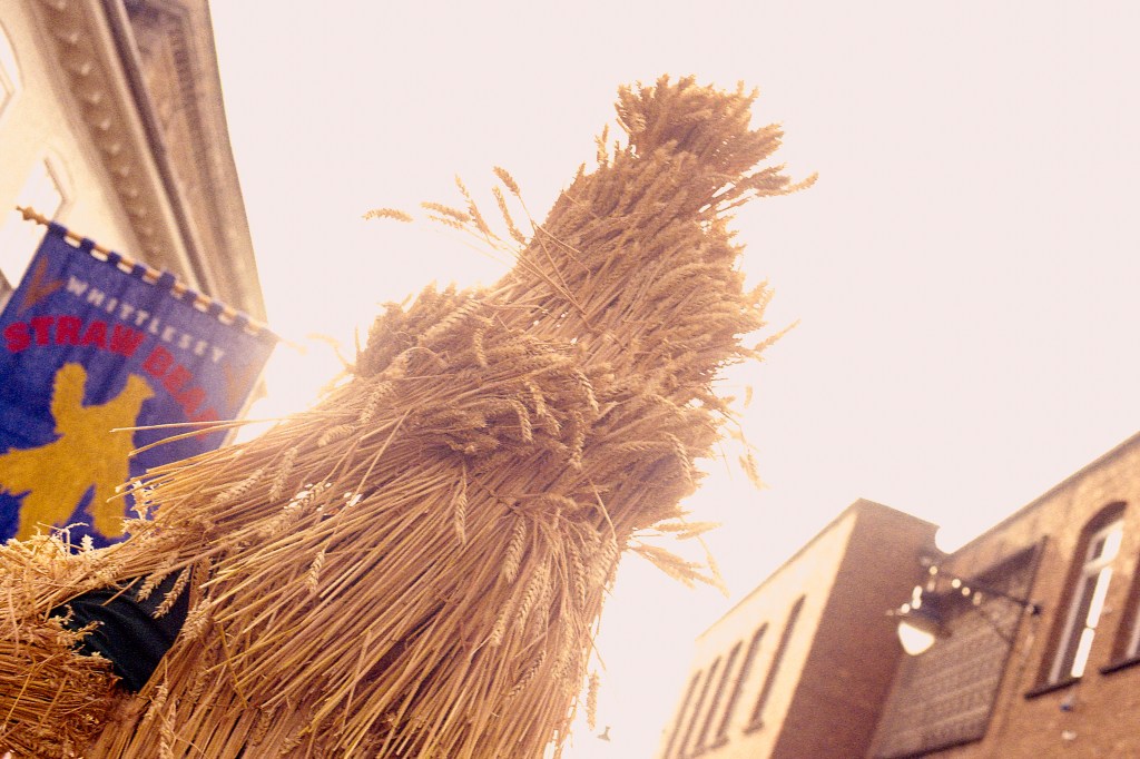 Film Photos at Whittlesea Straw Bear&nbsp;Festival